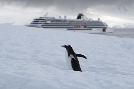 Viking Expedition Ship in Antarctica