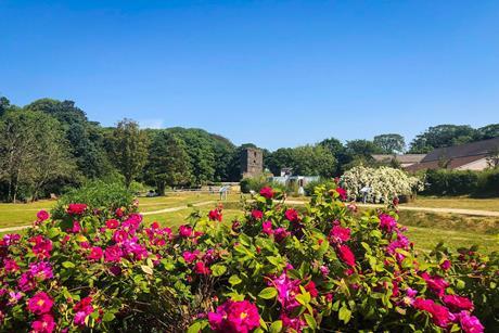 Vibrant flowers frame a view of Rushen Abbey on the Isle of Man