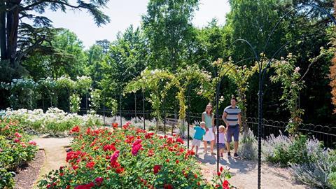 Blenheim Rose Garden