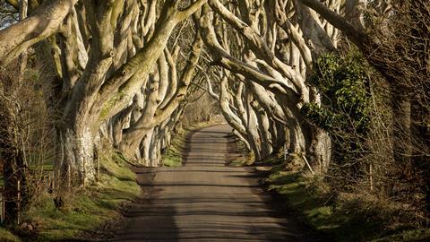 The Dark Hedges, Northern Ireland was The King's Road in Game of Thrones