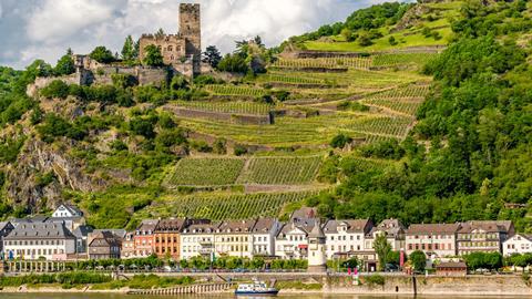 Vineyards in the Rhine Valley, Germany