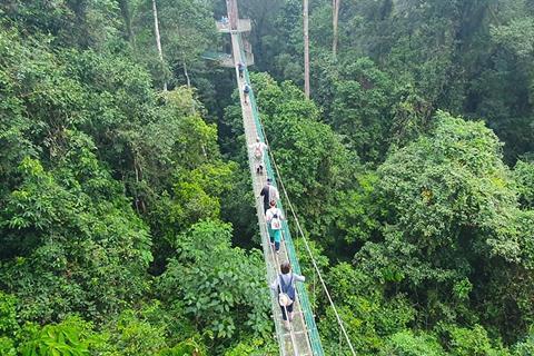 Members of Solent Events & Leisure/On Tour cross a bridge in Borneo