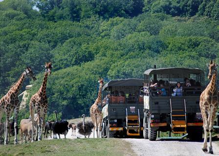 African Experience at Port Lympne
