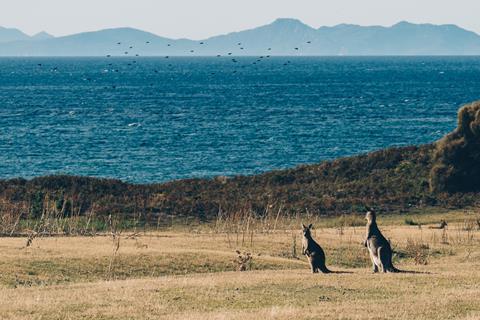 Tasmania, Australia