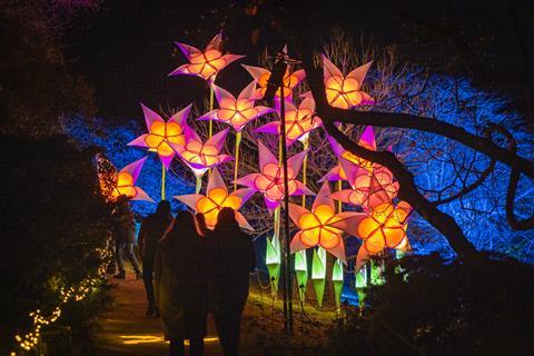 Visitors walk along an illuminated Christmas trail at Leonardslee Lakes & Gardens