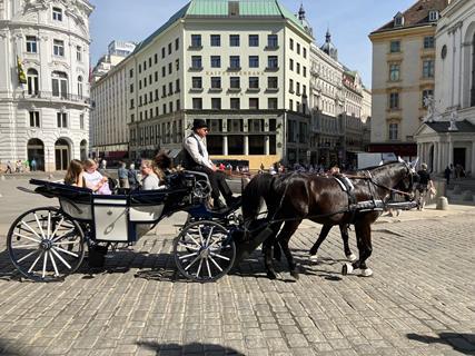 A horse-drawn ride in Vienna, Austria.