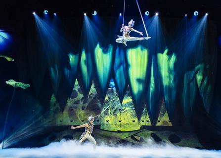 Performance from Cirque du Soleil's OVO show