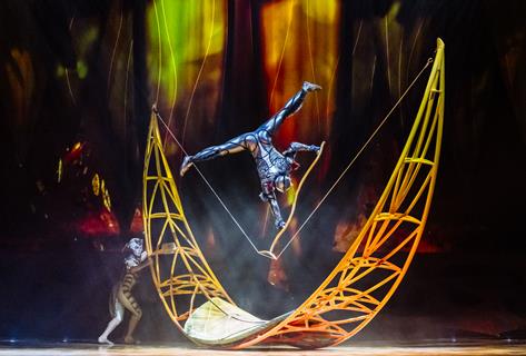 Performance from Cirque du Soleil's OVO show