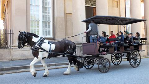 Carriage tours in Charleston, South Carolina