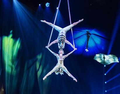 Performance from Cirque du Soleil's OVO show