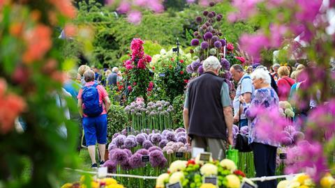 RHS Garden Wisley Flower Show