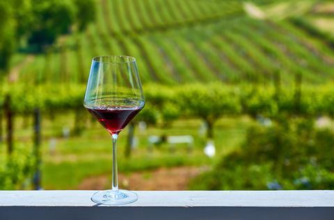 A glass of red wine in front of vineyards.