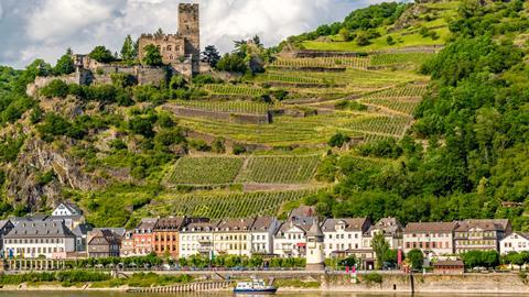 Vineyards in the Rhine Valley, Germany