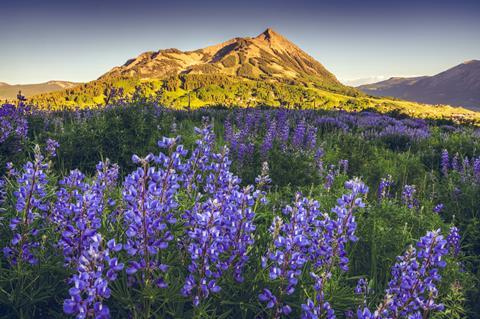 Crested Butte, Colorado, USA