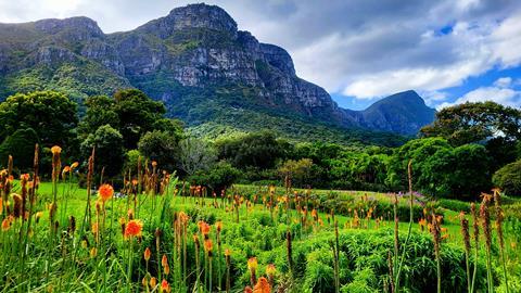 Kirstenbosch National Botanical Garden, Cape Town, South Africa