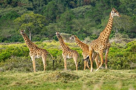 Tanzania