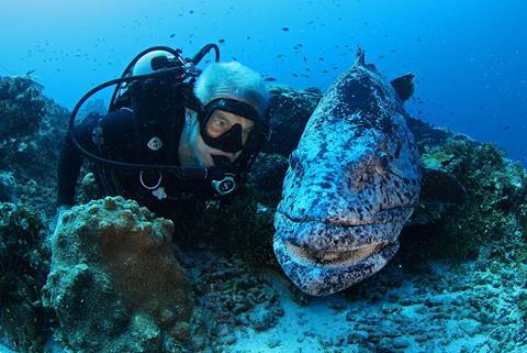 Paul Rose with Grouper in the Seychelles Outer Islands