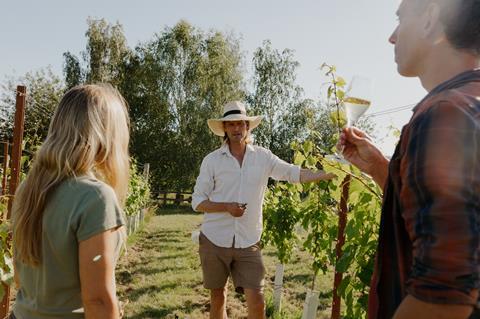 Wine Tour