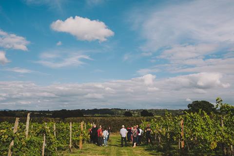 Group of people stood in a vineyard