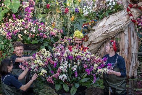 Staff at Kew Gardens transforming the Princess of Wales Conservatory for the Orchid Festival.