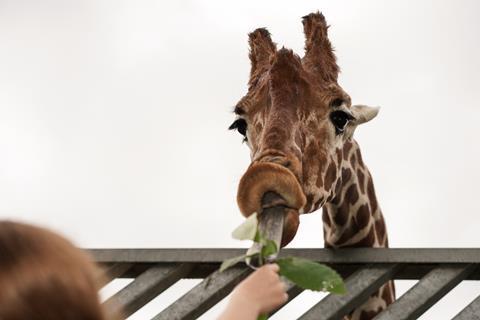 Colchester Zoo, Essex