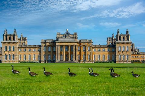 Summer at Blenheim Palace