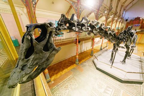 Dippy the Dinosaur at the Natural History Museum