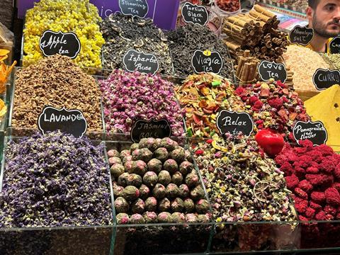 Enfield Over 50s Forum group trip to Istanbul, Turkey