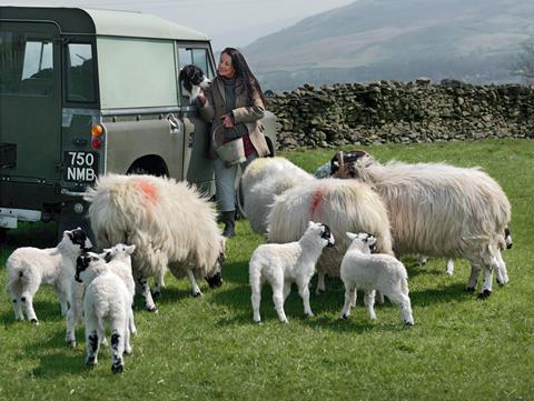 Alison O'Neil feeding her sheep 