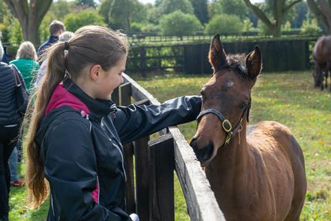 National Stud Tour