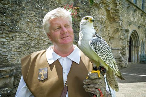 Falconry at Beaulieu 