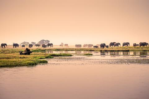 Chobe River, South Africa