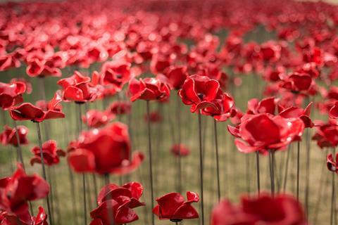 Ceramic Poppies