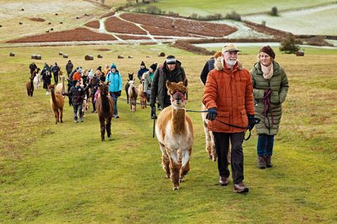Alpaca My Boots experience