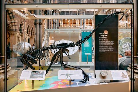 A standing skeleton of a Eustreptospondylus on display in a museum