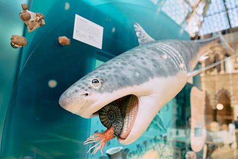 A museum display of a shark eating a sea creature