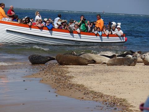 Beans Boat seal-spotting trips in Norfolk