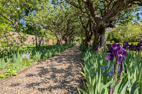 The walled garden at Grantham House