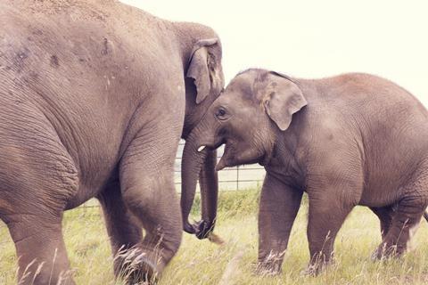 ZSL Whipsnade Zoo