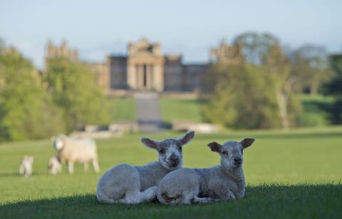 Blenheim Palace