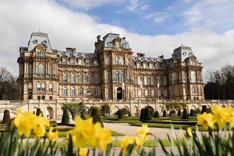 Daffodils in bloom in The Bowes Museum's grounds