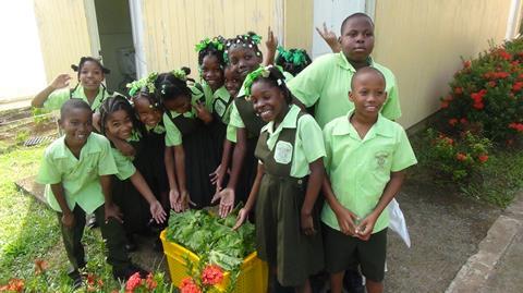 School children during Fred Olsen Lucia School Caribbean voluntourism tour