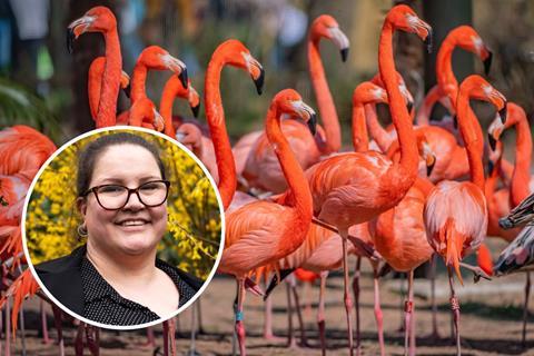 Charlotte Howle of Chester Zoo in front of some very bright flamingos