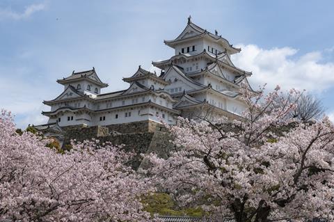 Cherry blossom in Japan