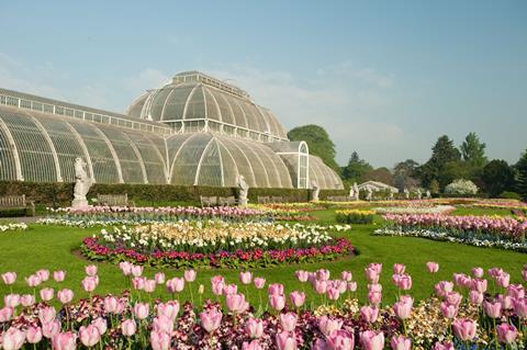 Palm House at Kew Gardens