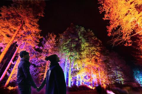 A couple look at illuminated Christmas trees at Westonbirt Arboretum