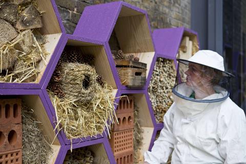 Camilla with bee hotel