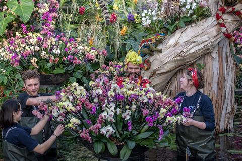 Orchids at Kew Gardens, celebrating the remarkable biodiversity of Madagascar