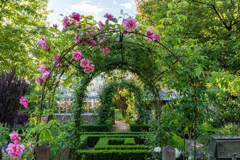 Cottage Garden