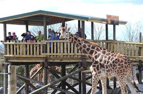 Folly Farm